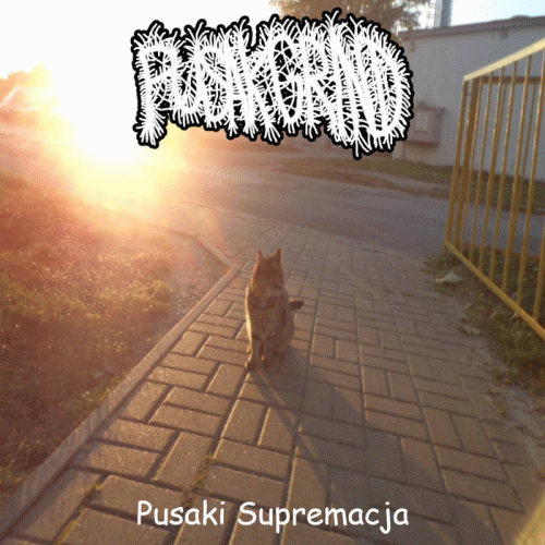 Pusak Grind : Pusaki Supremacja